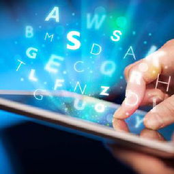 佛山項目投資價值及穩定回報論證報告